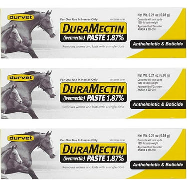 Equine Oral Paste – Themed Novelty Tubes (3-Pack, 6.08g Each)