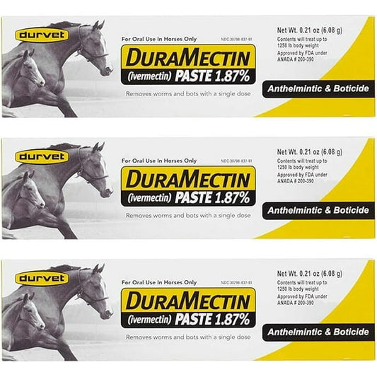 Equine Oral Paste – Themed Novelty Tubes (3-Pack, 6.08g Each)