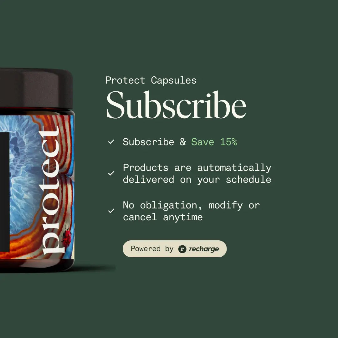 Protect Capsules | Immune Defense & Daily Wellness Support | Antioxidants + Vitamins + Herbal Blend 🌿🛡️