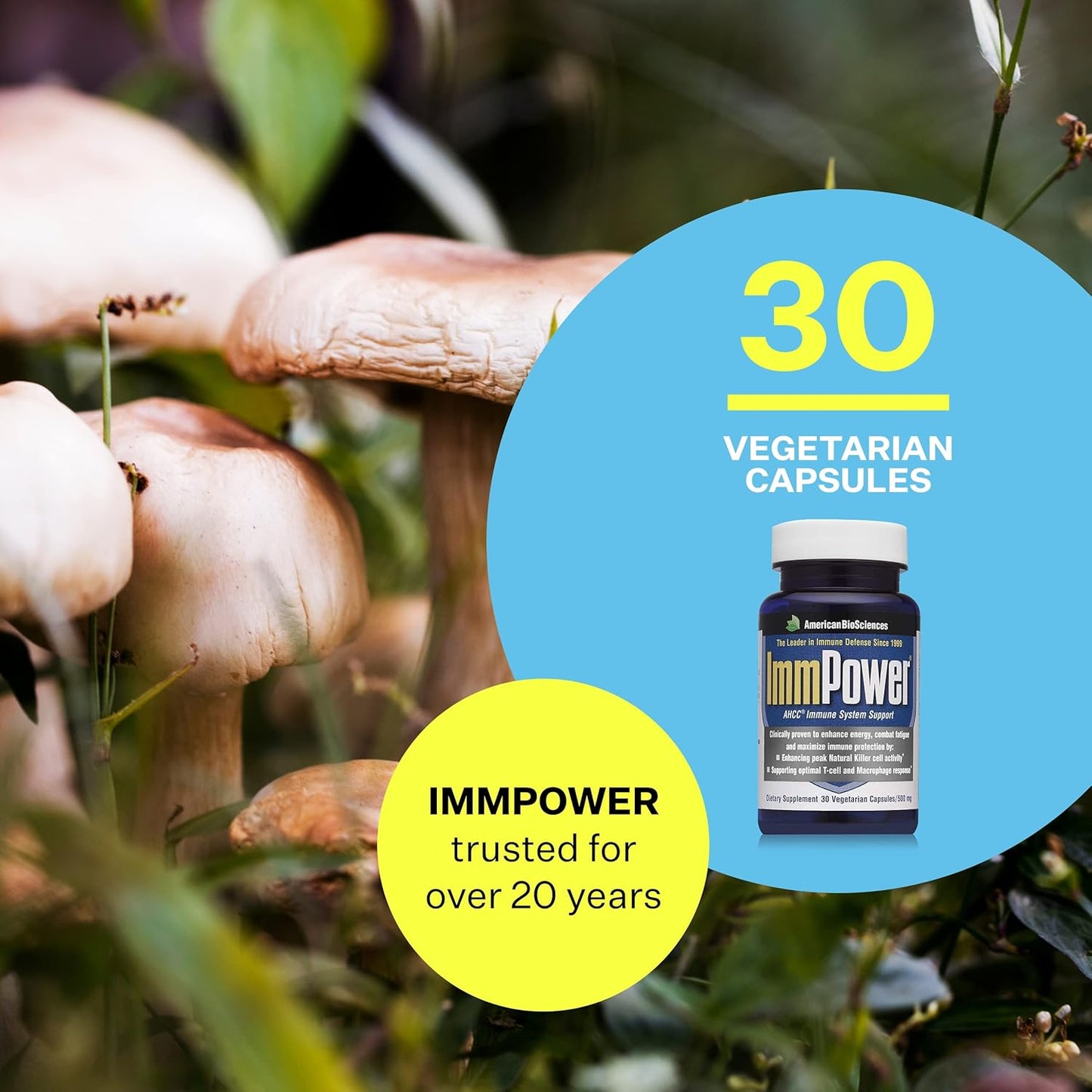 ImmPower® AHCC Mushroom Extract – 500 mg x 30 Vegetarian Capsules for Immune & Cytokine Support