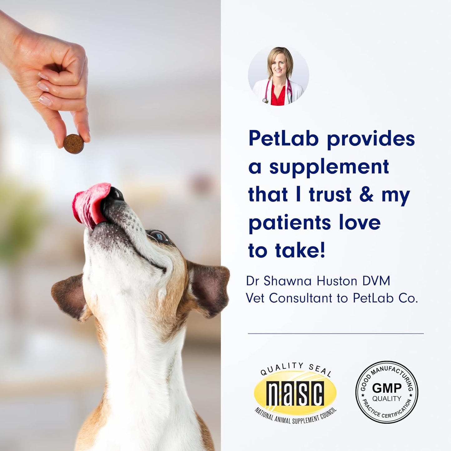 PetLab Co. Allergy & Immune Probiotic Dog Chews – 30 Pork‑Flavor Soft Chews for Seasonal Allergy Relief & Gut Health
