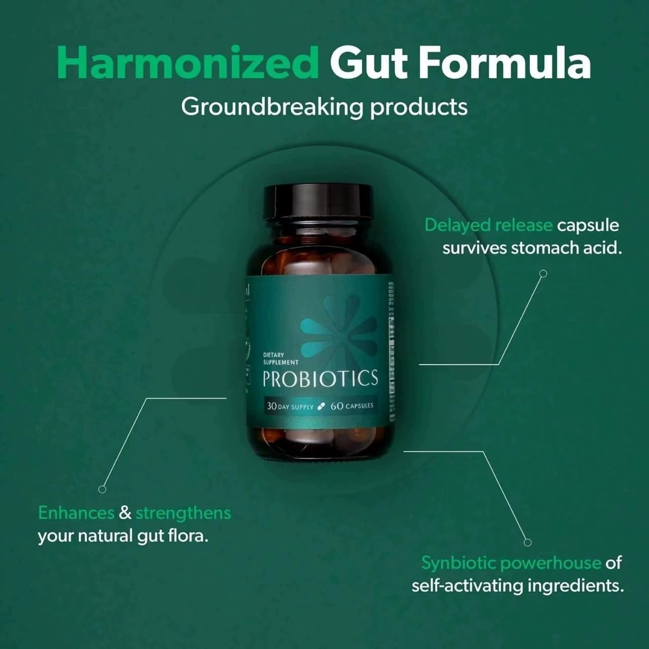 Probiotics for Digestive Health – 60 Slow‑Release Synbiotic Capsules (3‑in‑1 Probiotic + Prebiotic + Enzyme) – New Improved Formula