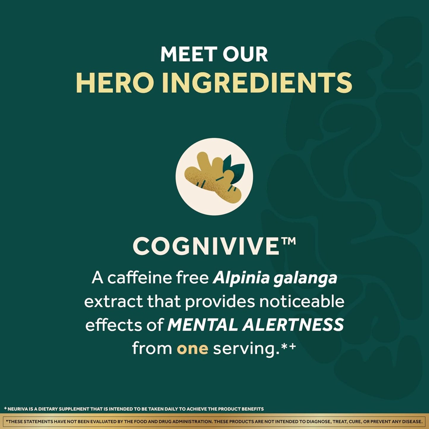 Neuriva Ultra Decaffeinated Brain Supplement – Cognivive™, Neurofactor™, Phosphatidylserine & B6/B12 for Focus, Memory & Alertness (60 Capsules)