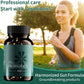 Probiotics for Digestive Health – 60 Slow‑Release Synbiotic Capsules (3‑in‑1 Probiotic + Prebiotic + Enzyme) – New Improved Formula