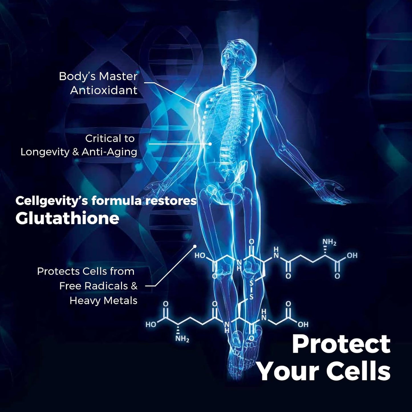 Cellgevity Advanced RiboCeine™ 120 Caps | Glutathione Support & Cellular Detox