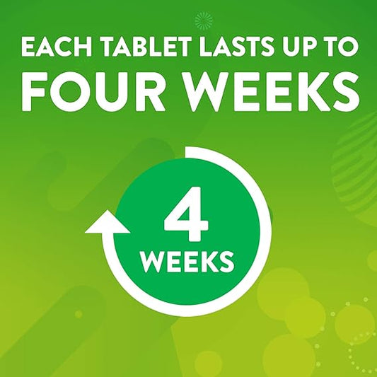 Scrubbing Bubbles Toilet Tablets – 3-Count Continuous Clean Drop-Ins | Keeps Bowl Stain-Free & Prevents Limescale