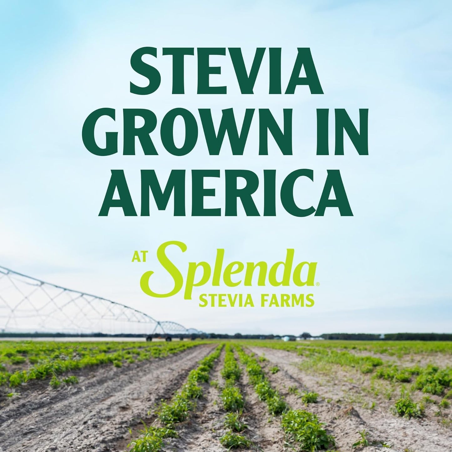 SPLENDA Stevia Zero Calorie Sweetener, Sugar Substitute Packets, 400 Count (Pack of 1)