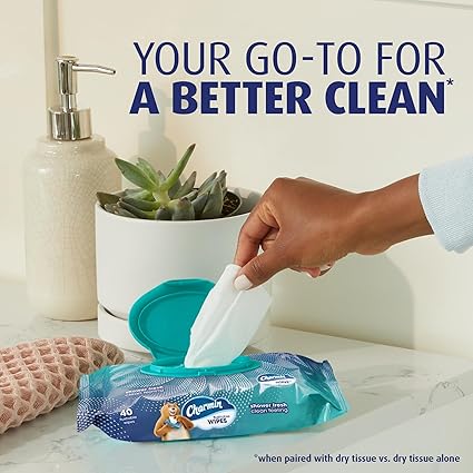 Charmin Flushable Wipes – 160 Total (4 Packs of 40) | Resealable, On-the-Go Wiper