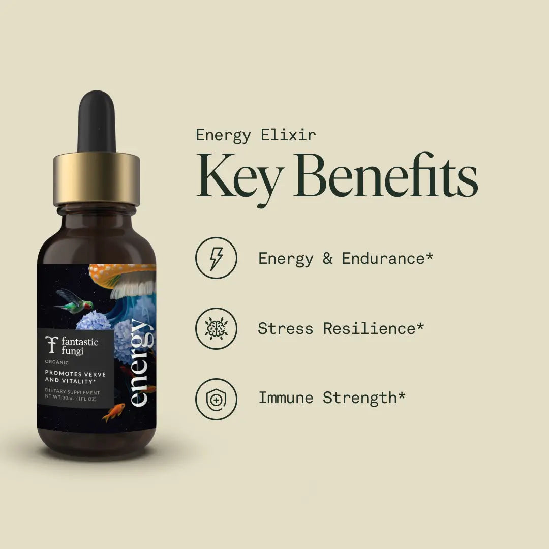 Energy Elixir | Natural Energy & Focus Drink | Adaptogens + B Vitamins + Green Tea Extract ⚡🌿