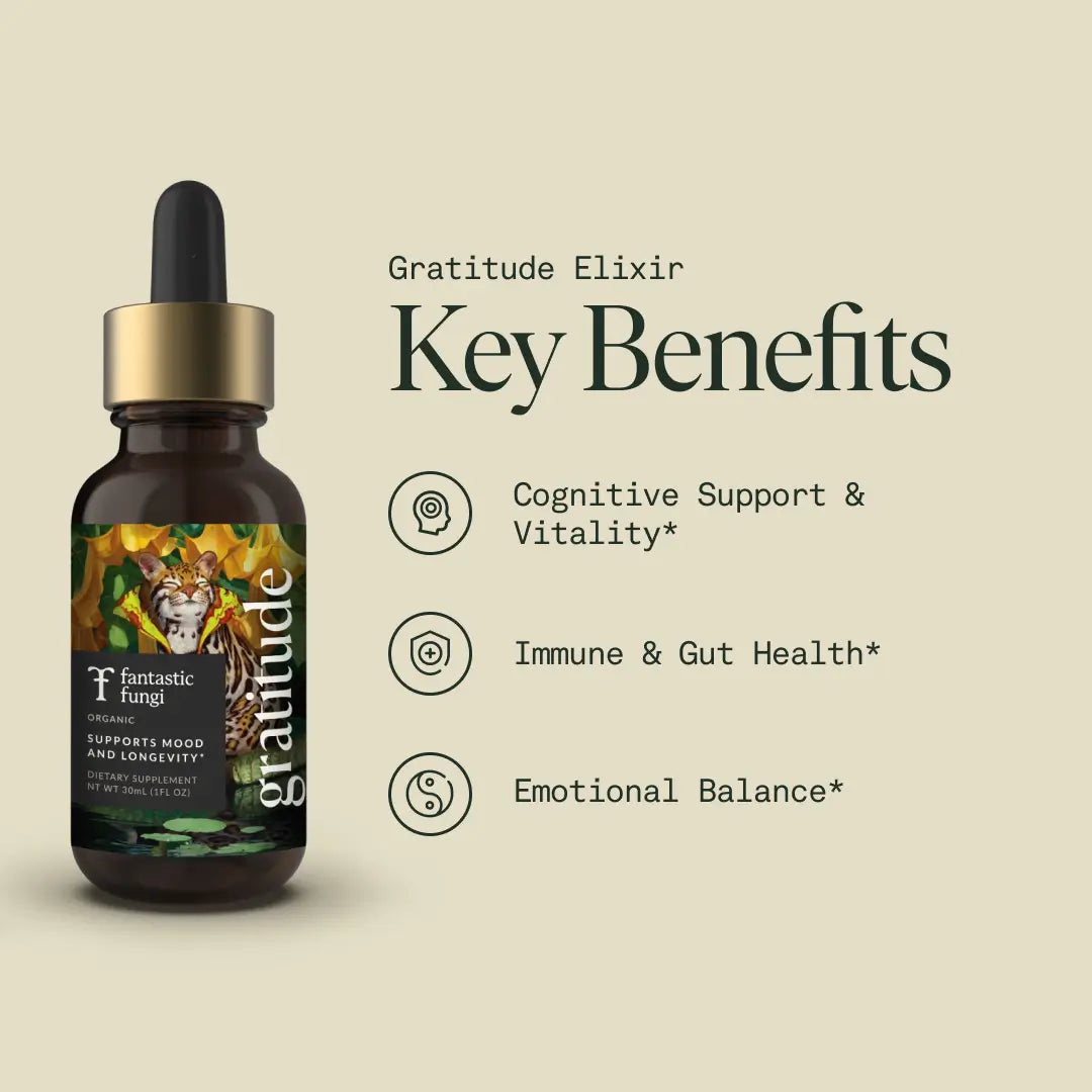 Gratitude Elixir | Mood Elevation & Emotional Wellness Drink | Adaptogens + Superfoods for Daily Positivity 🌞💛