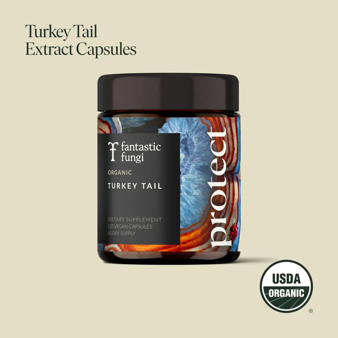 Protect Capsules | Immune Defense & Daily Wellness Support | Antioxidants + Vitamins + Herbal Blend 🌿🛡️