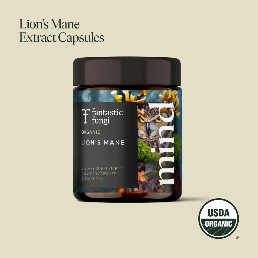 Mind Capsules | Focus, Memory & Mental Clarity Support | Nootropic Brain Supplement 🌿🧠