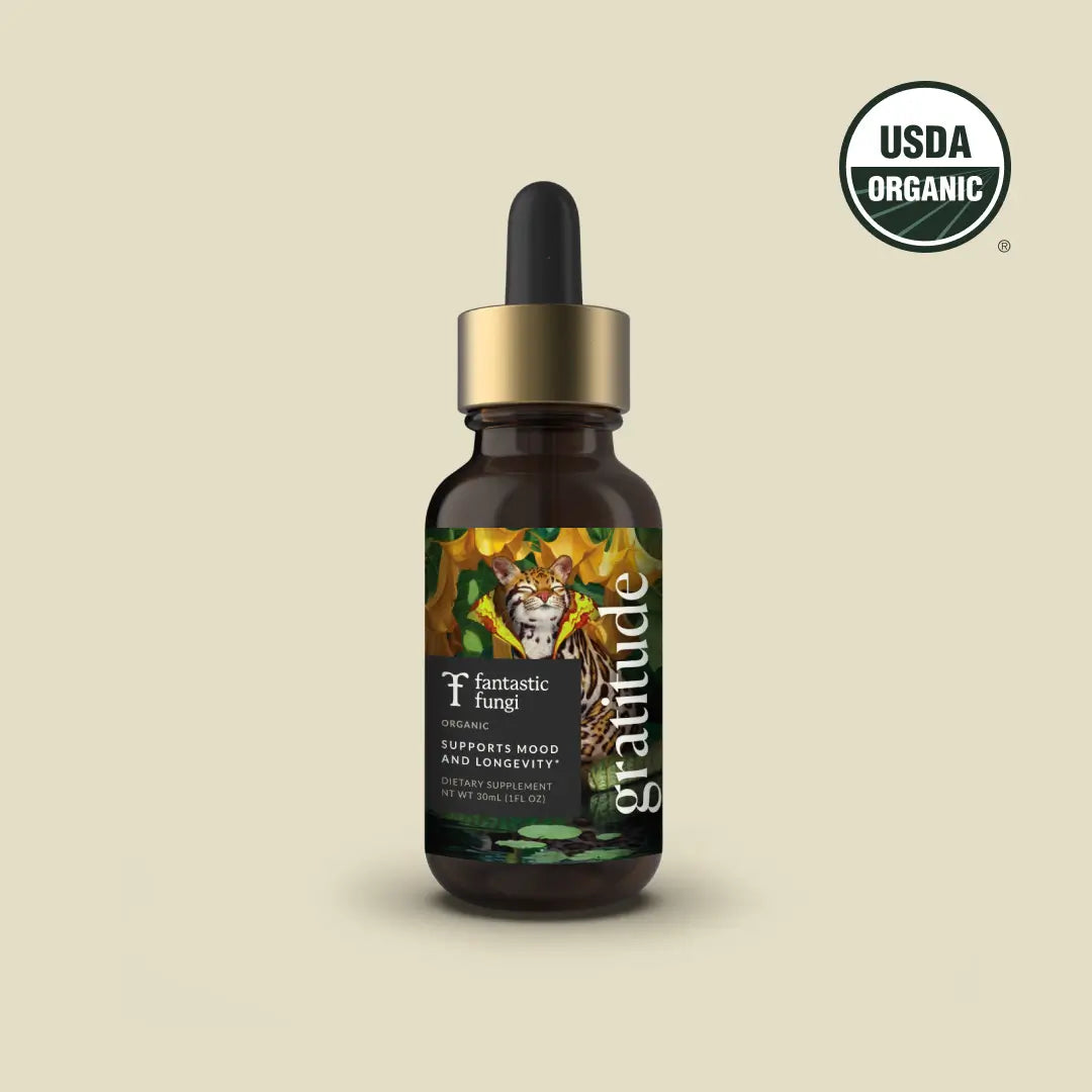 Gratitude Elixir | Mood Elevation & Emotional Wellness Drink | Adaptogens + Superfoods for Daily Positivity 🌞💛