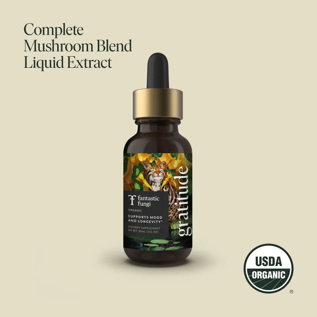 Gratitude Elixir | Mood Elevation & Emotional Wellness Drink | Adaptogens + Superfoods for Daily Positivity 🌞💛