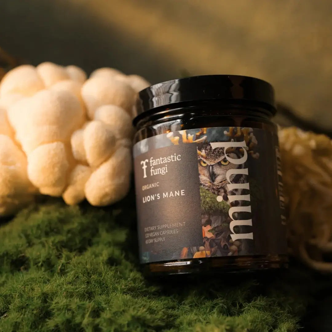 Mind Capsules | Focus, Memory & Mental Clarity Support | Nootropic Brain Supplement 🌿🧠