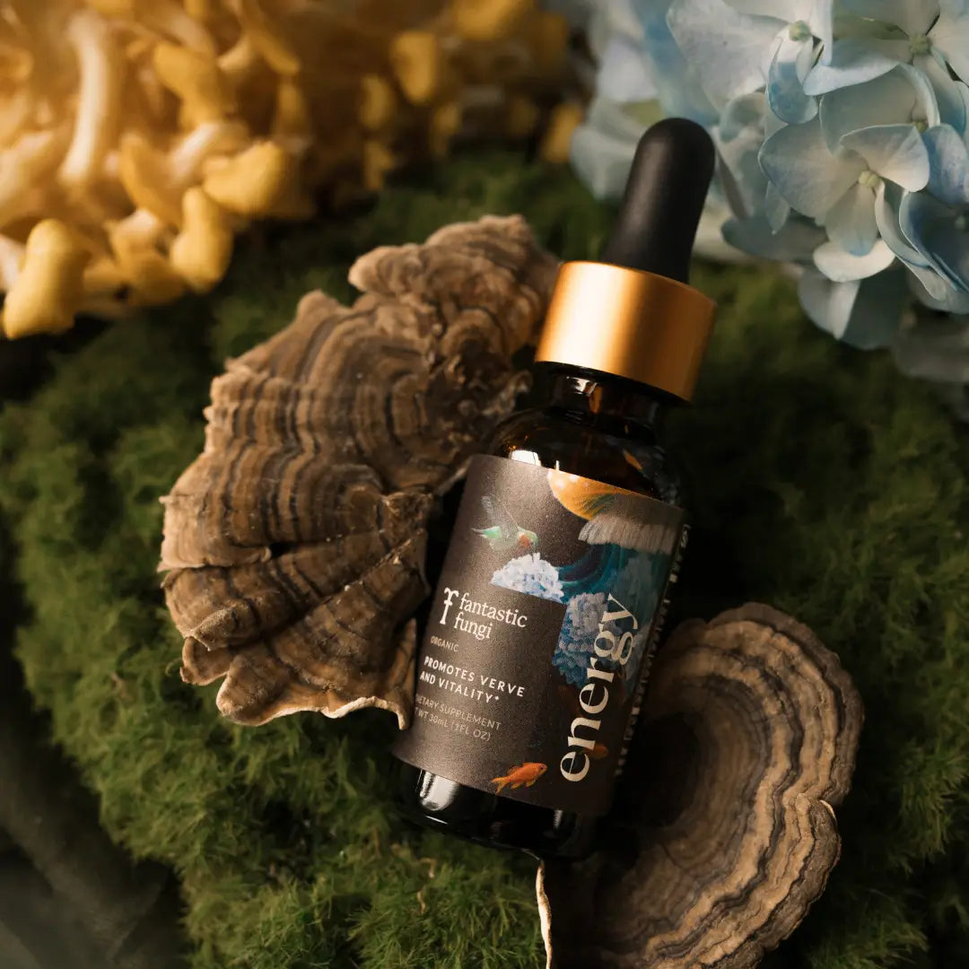 Energy Elixir | Natural Energy & Focus Drink | Adaptogens + B Vitamins + Green Tea Extract ⚡🌿