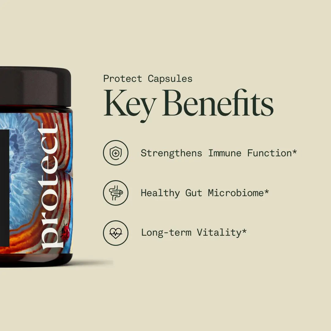 Protect Capsules | Immune Defense & Daily Wellness Support | Antioxidants + Vitamins + Herbal Blend 🌿🛡️