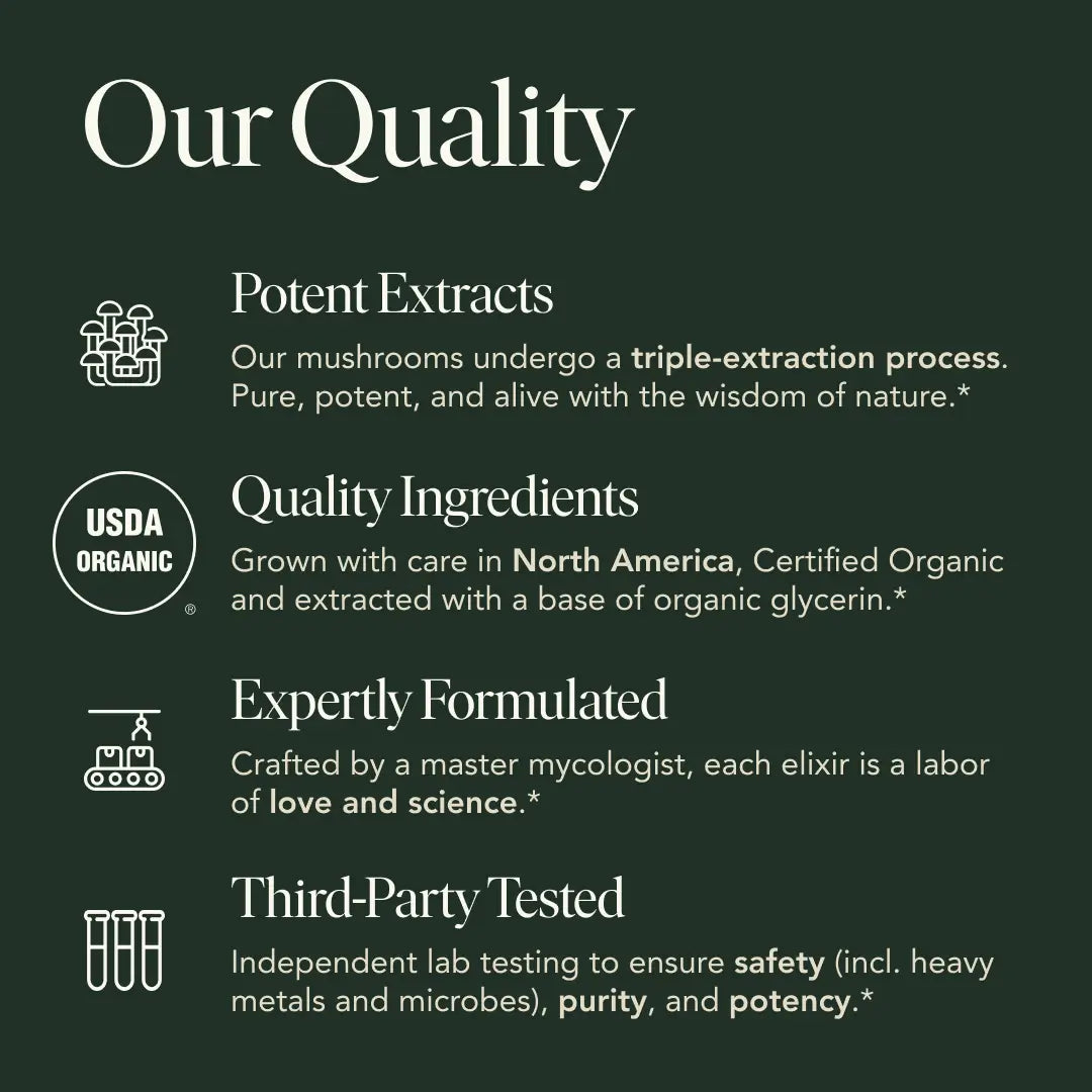 Mindful Elixir | Calm Focus & Mental Clarity Drink | Adaptogenic Blend for Stress Relief & Balanced Energy 🌿🧘‍♀️