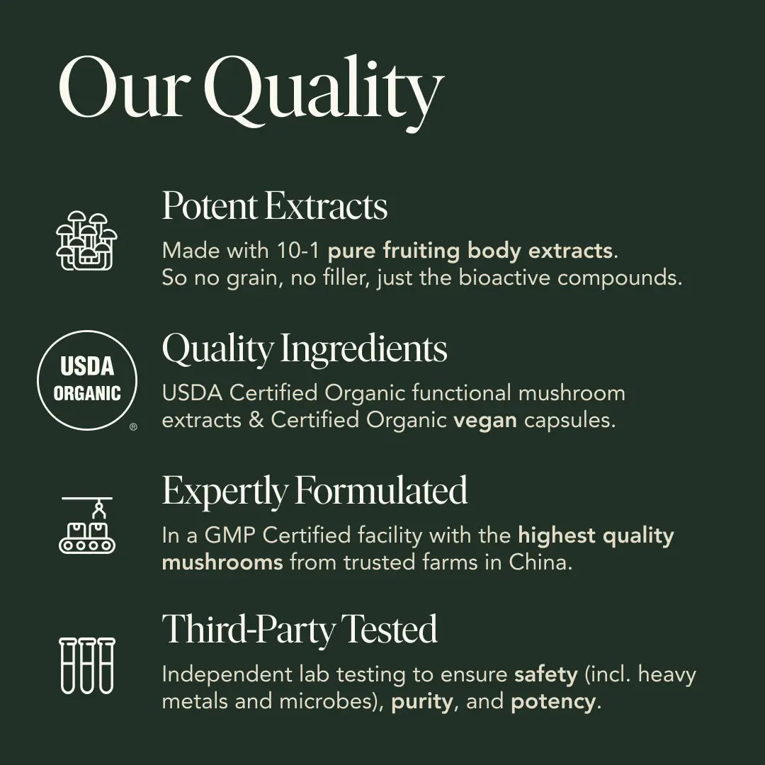 Mind Capsules | Focus, Memory & Mental Clarity Support | Nootropic Brain Supplement 🌿🧠