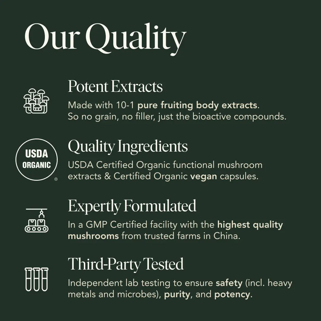 Protect Capsules | Immune Defense & Daily Wellness Support | Antioxidants + Vitamins + Herbal Blend 🌿🛡️