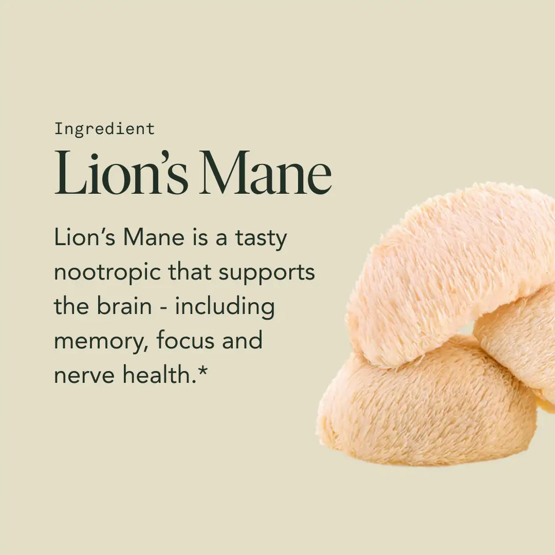 Mind Capsules | Focus, Memory & Mental Clarity Support | Nootropic Brain Supplement 🌿🧠