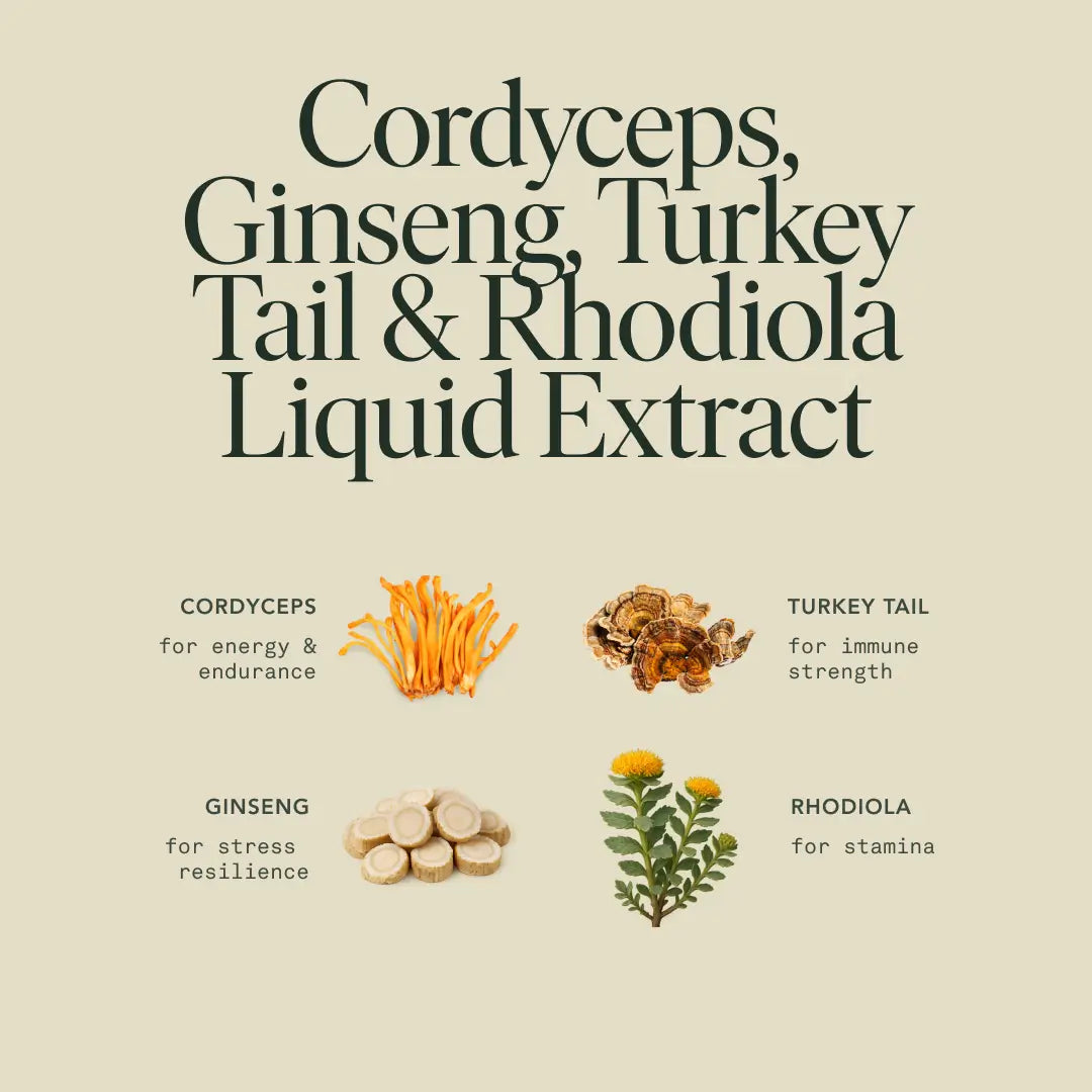 Energy Elixir | Natural Energy & Focus Drink | Adaptogens + B Vitamins + Green Tea Extract ⚡🌿