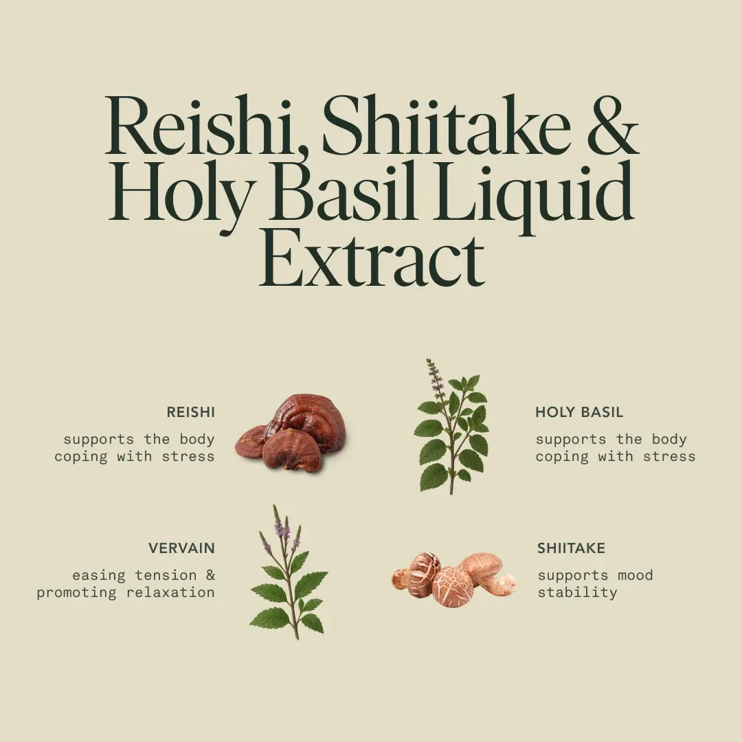 Chill Elixir | Natural Relaxation & Stress Relief Drink | Calm Focus & Restful Sleep Support 🌿