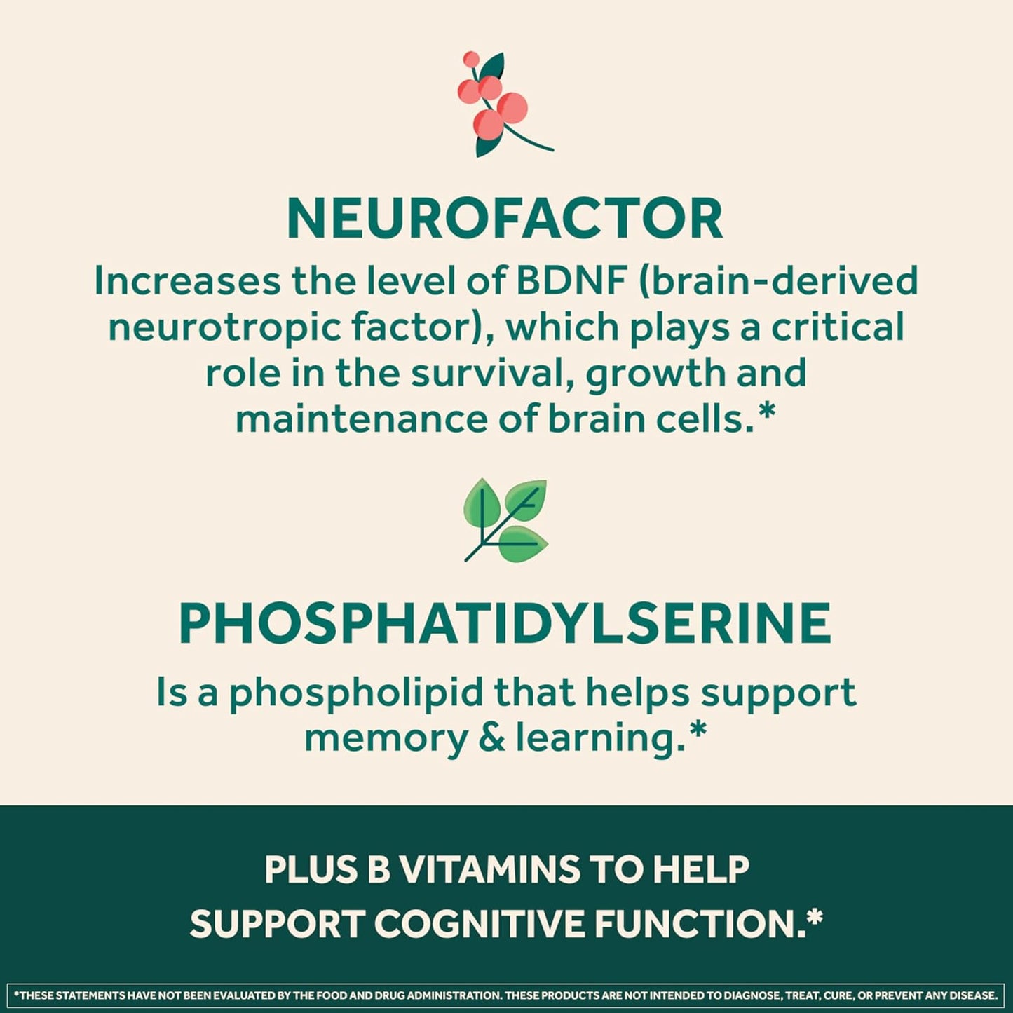 Neuriva Ultra Decaffeinated Brain Supplement – Cognivive™, Neurofactor™, Phosphatidylserine & B6/B12 for Focus, Memory & Alertness (60 Capsules)
