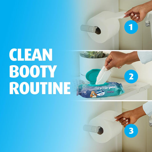 Charmin Flushable Wipes – 160 Total (4 Packs of 40) | Resealable, On-the-Go Wiper